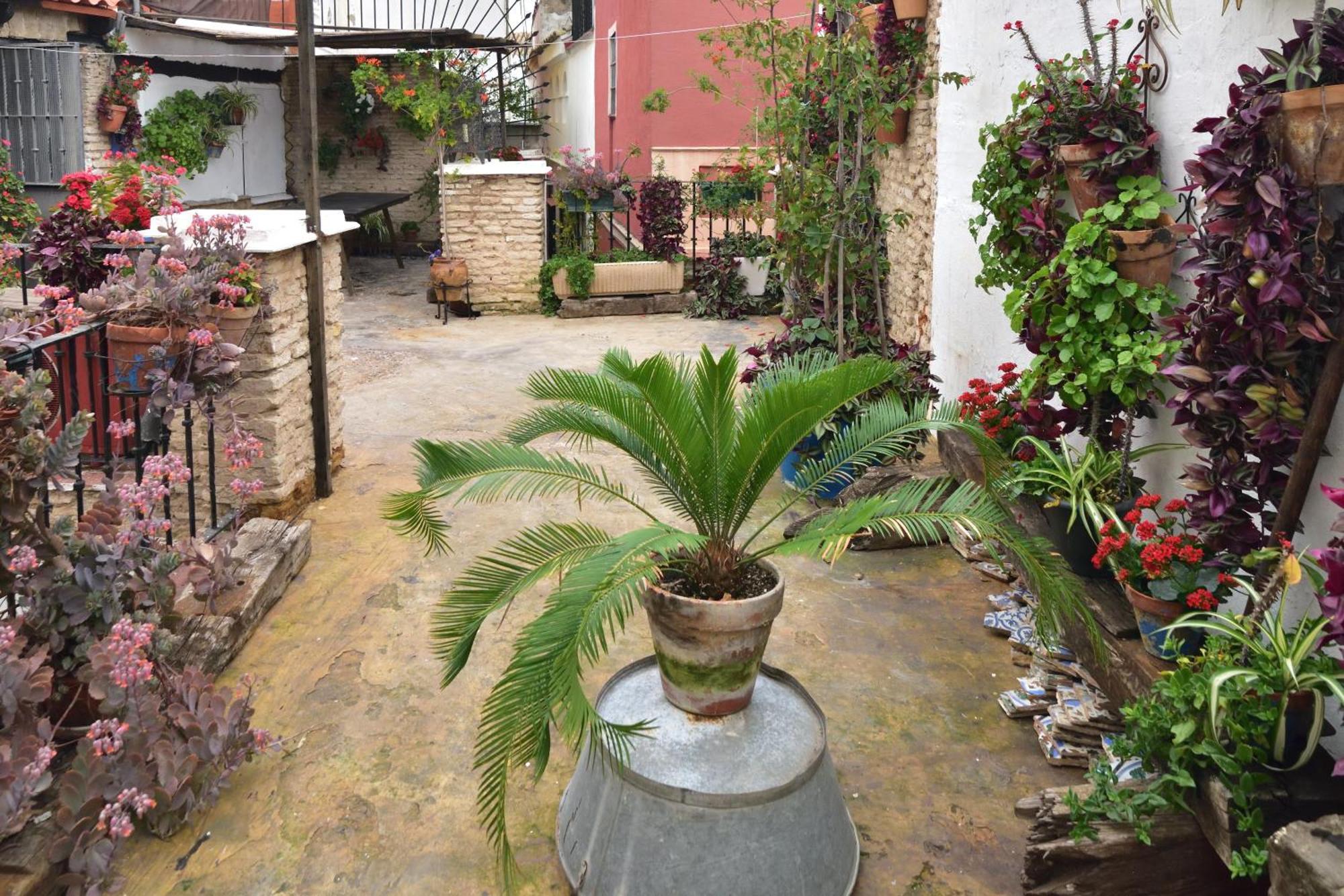 Suite Dona Ines Barrio Santacruz — Photos 2